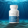 Curcumitol-Q® - BioBDMC® Curcumin Supplement