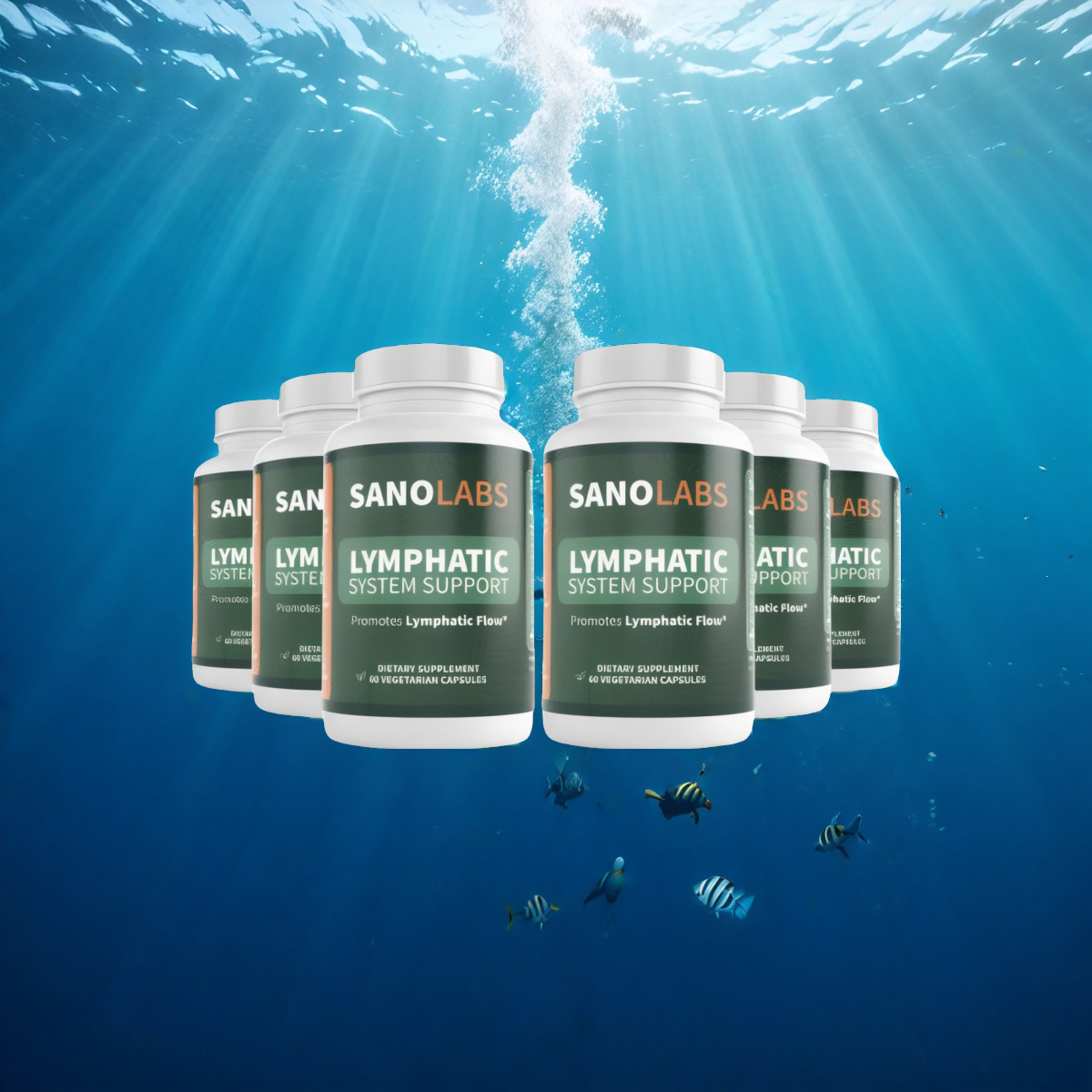 Lymphatic System Support 6 bottle subscription